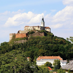 Burg Güssing, Güssing