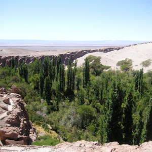 Toconao, San Pedro de Atacama