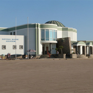 Nationales Maritimes Aquarium von Namibia, Swakopmund
