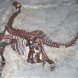 Dinosaur National Monument, Vernal