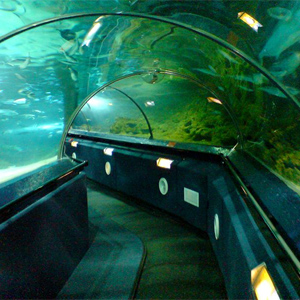 Kelly Tarlton’s Sea Life Aquarium, Auckland